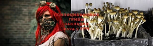 дживик Киренск