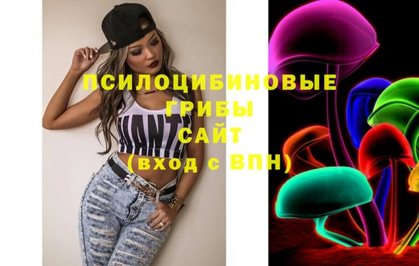 apvp Киреевск