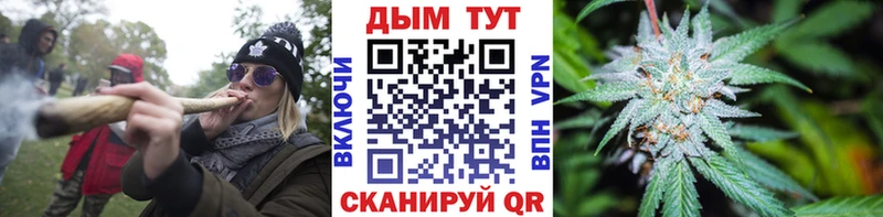 Бошки Шишки VHQ  Купить  Богородск 